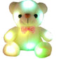 Glowing Teddy Bear